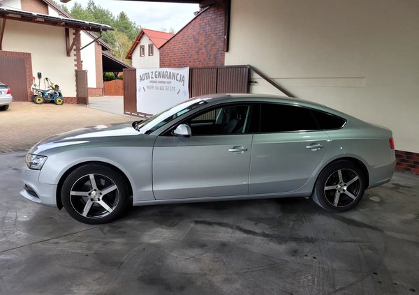 Audi A5 cena 53900 przebieg: 245000, rok produkcji 2012 z Głuchołazy małe 301